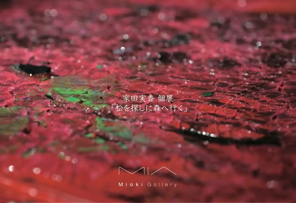 家田実香 個展「松を探しに森へ行く」 | ArtSticker