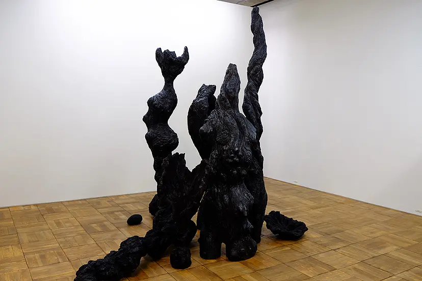 赤井正人 個展「うつせのほ」