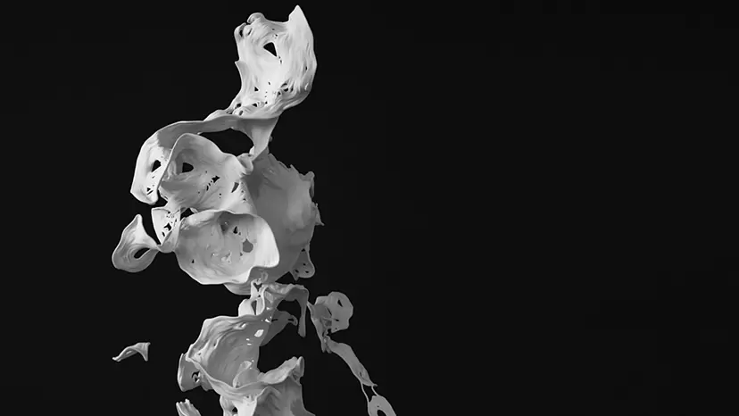ルイジ・オノラ個展「Absences」