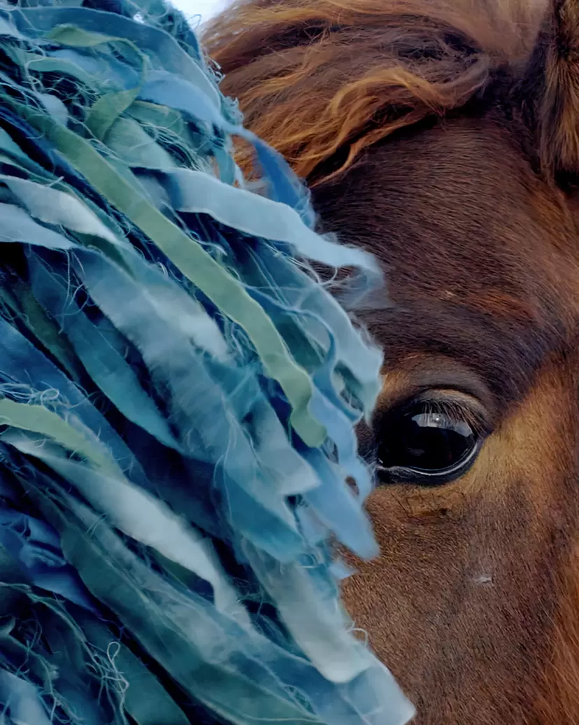 プリント Charlotte Dumas シャルロット・デュマ エルメス　写真集 プリント Charlotte Dumas シャルロット・デュマ エルメス 写真集