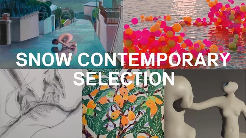 SNOW Contemporary SELECTION