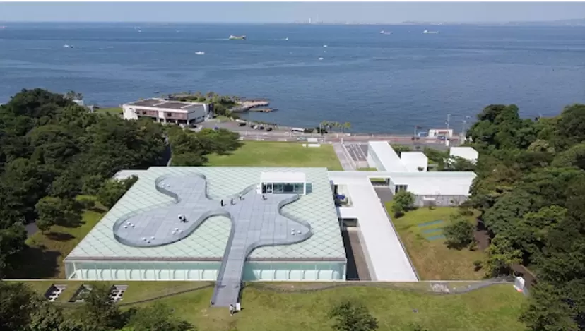 ③桜木稔 油彩画❤️摩周湖 直筆サイン入 自身直接購入品 2025年最新】桜木稔の人気アイテム - メルカリ