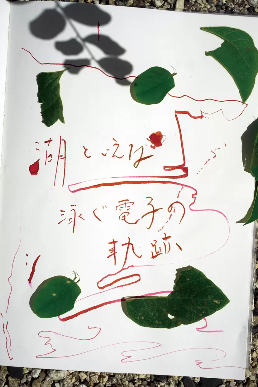 伊藤存、エレナ・トゥタッチコワ「湖といえば、泳ぐ電子の軌跡」
