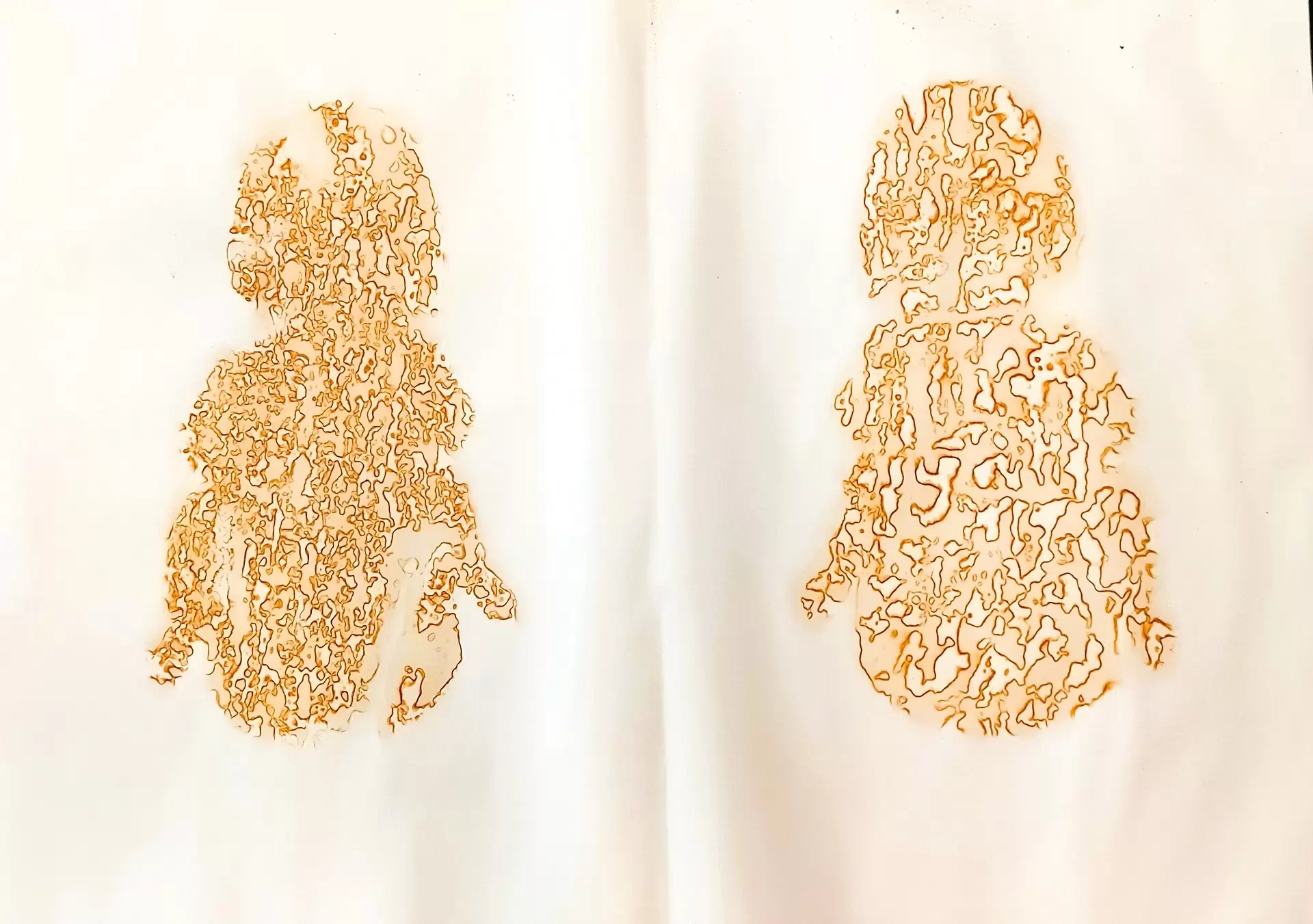 千葉ゆかりの作品展 下野友嗣「大きな錆」 | ArtSticker