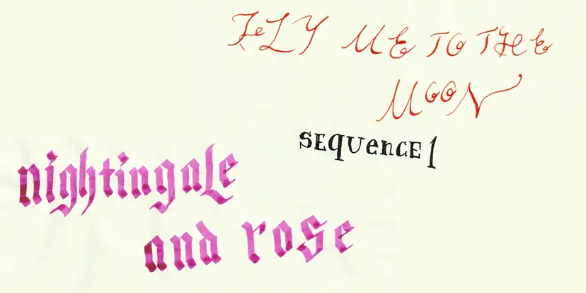 楊博個展「”Fly me to the moon” sequence1:Nightngale and Rose」