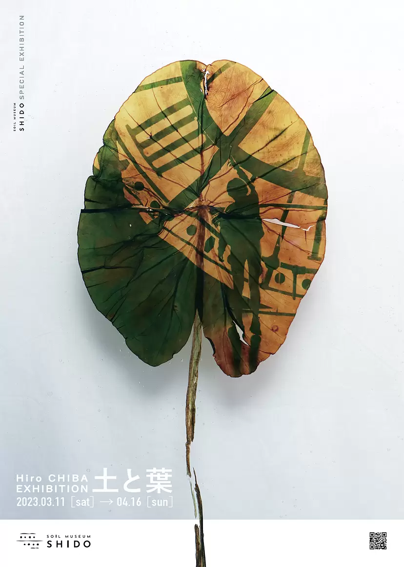 千葉尋 個展「土と葉」