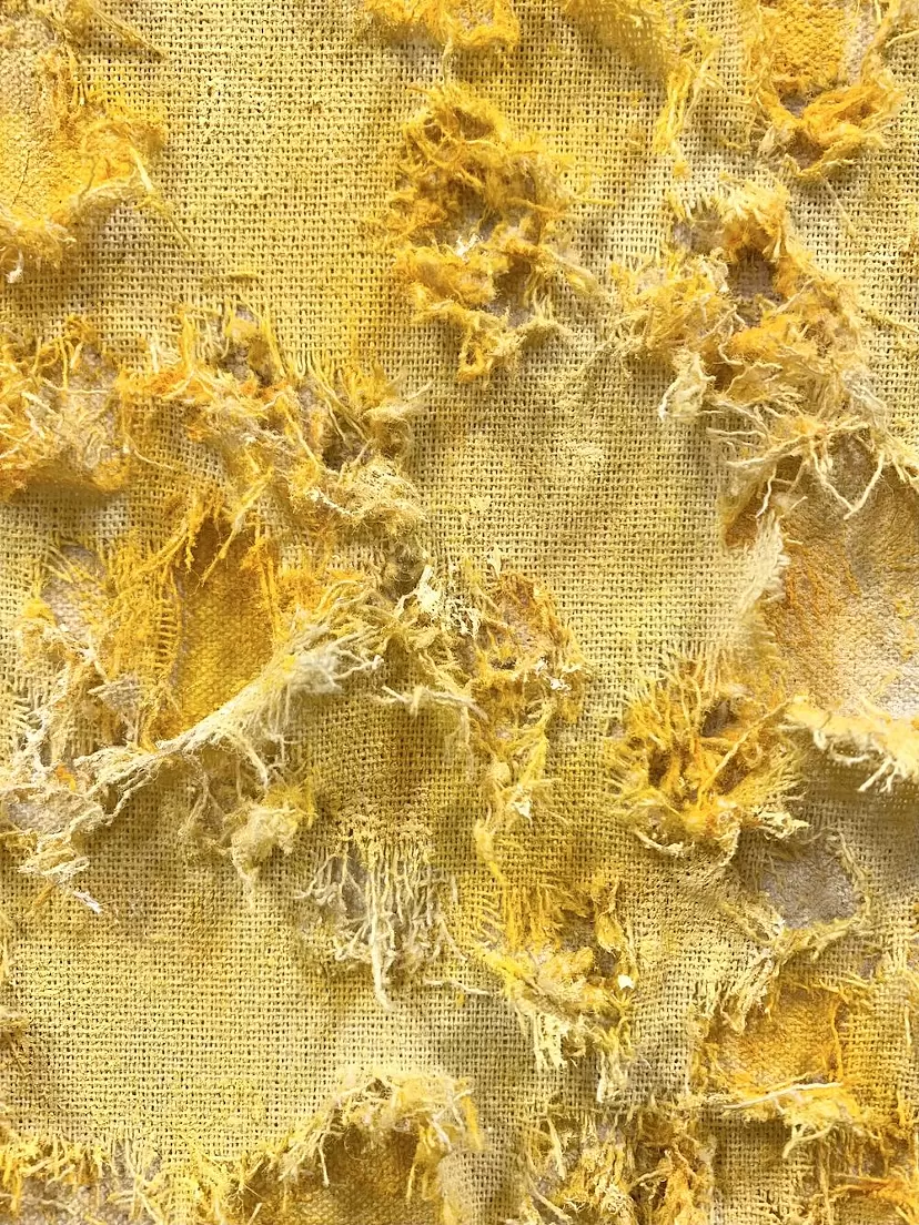 Atsuki Fujimoto Solo Exhibition “Blooming on the plateau”