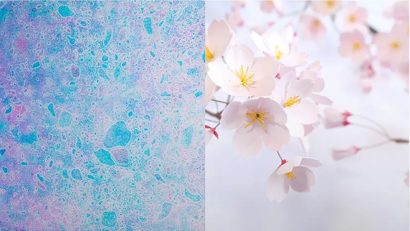Spring into the season
