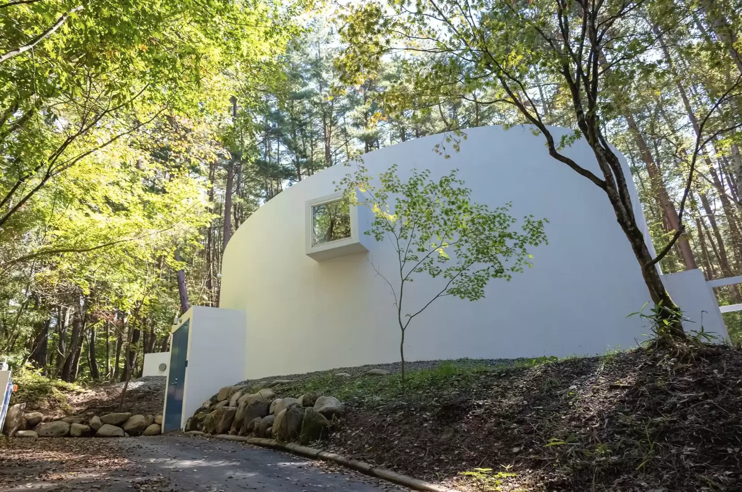 フカミエリ｜Artist in Residence by ArtSticker Vol.5 | ArtSticker