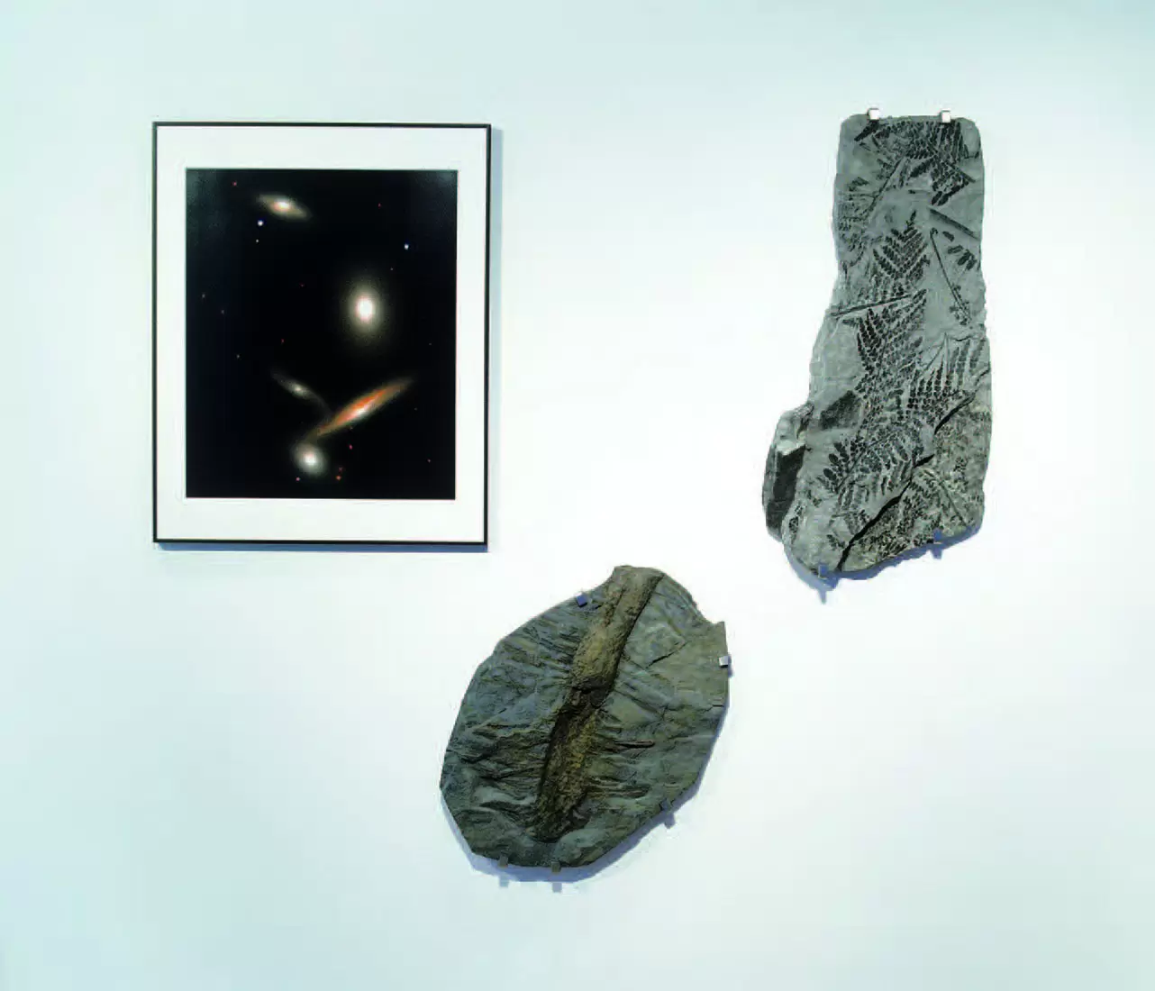 野村仁「コスミック・センシビリティー」 | ArtSticker