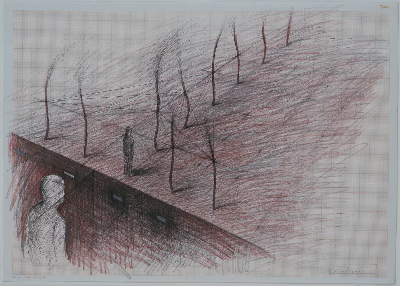 特別展 三線のひろがりと可能性展　図録 特別展 三線のひろがりと可能性展 図録 国立国際美術館】特別展「線