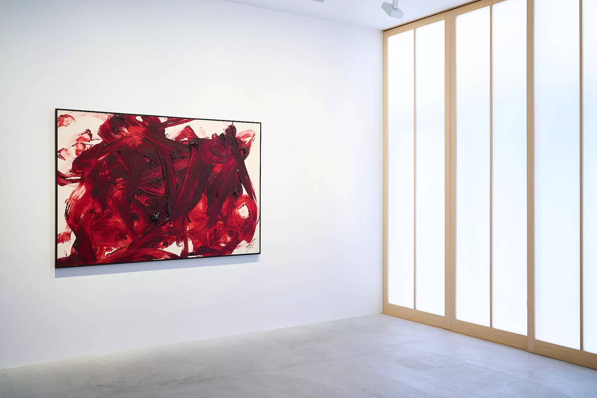 Kazuo Shiraga & Akira Kanayama: Plus-Minus - A Centennial