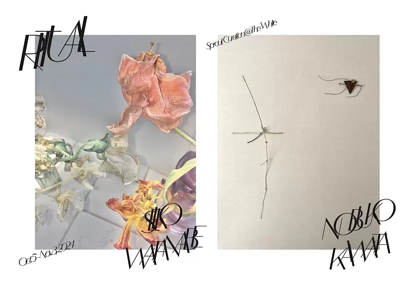 Ritual｜河田展子＋渡邊聖子｜二人展