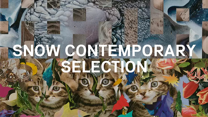 SNOW Contemporary SELECTION