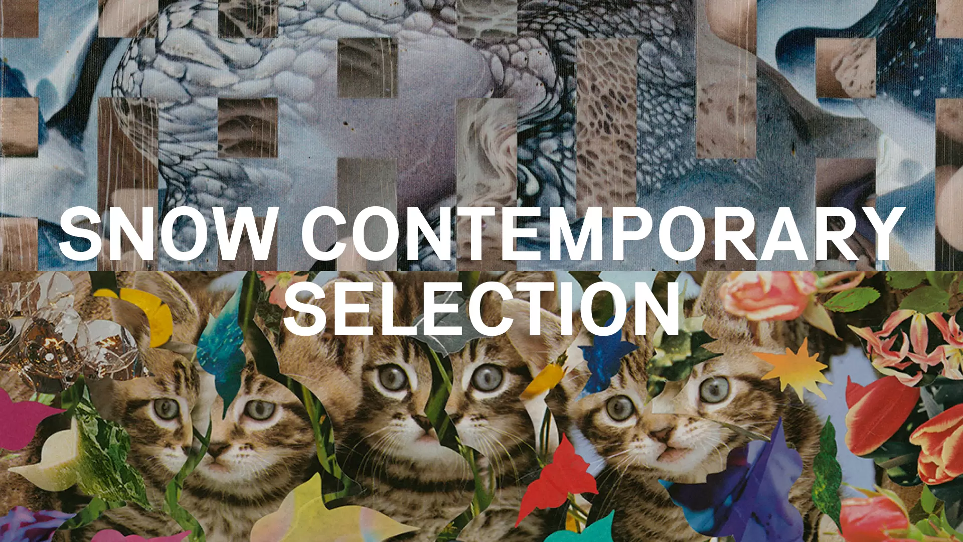 SNOW Contemporary SELECTION