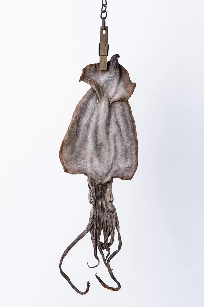 50532_l.webp?a99f3e1836aab3af