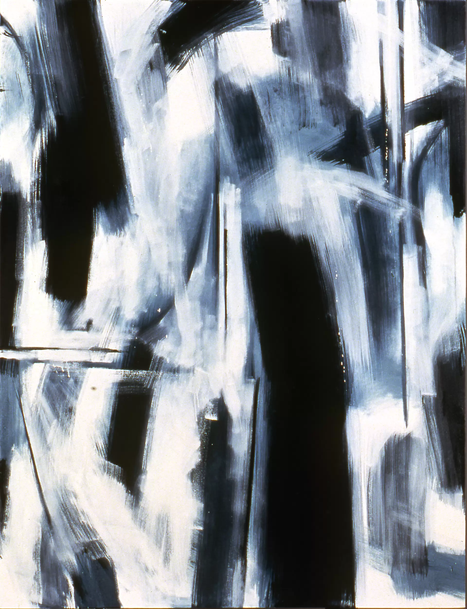 三島喜美代｜木下佳通代｜渡辺信子｜森本絵利｜中山明日香 by