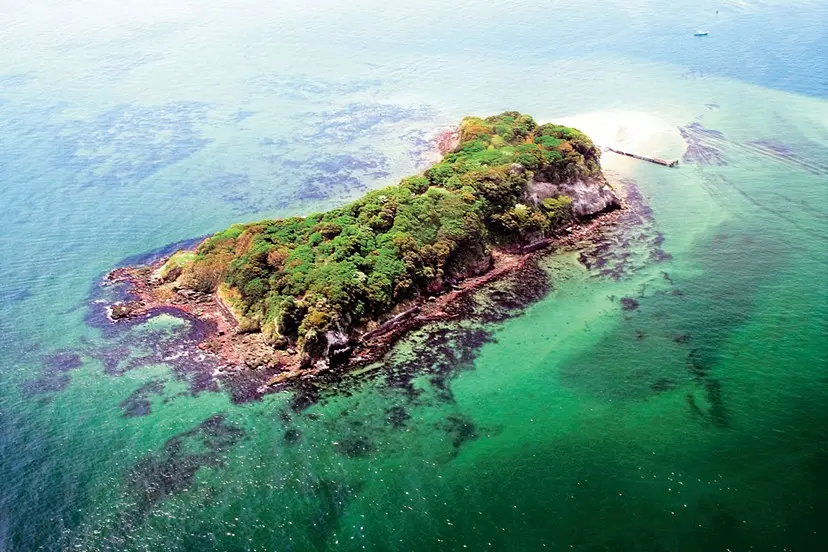 Sense Island -感覚の島- 暗闇の美術島