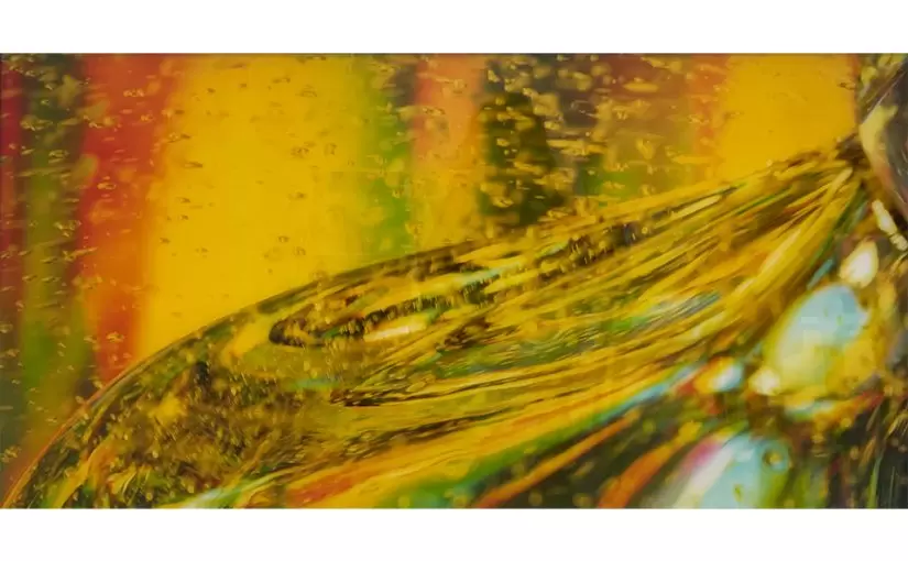 Space S – AKASAKI Mima and Rikako Kawauchi | ArtSticker