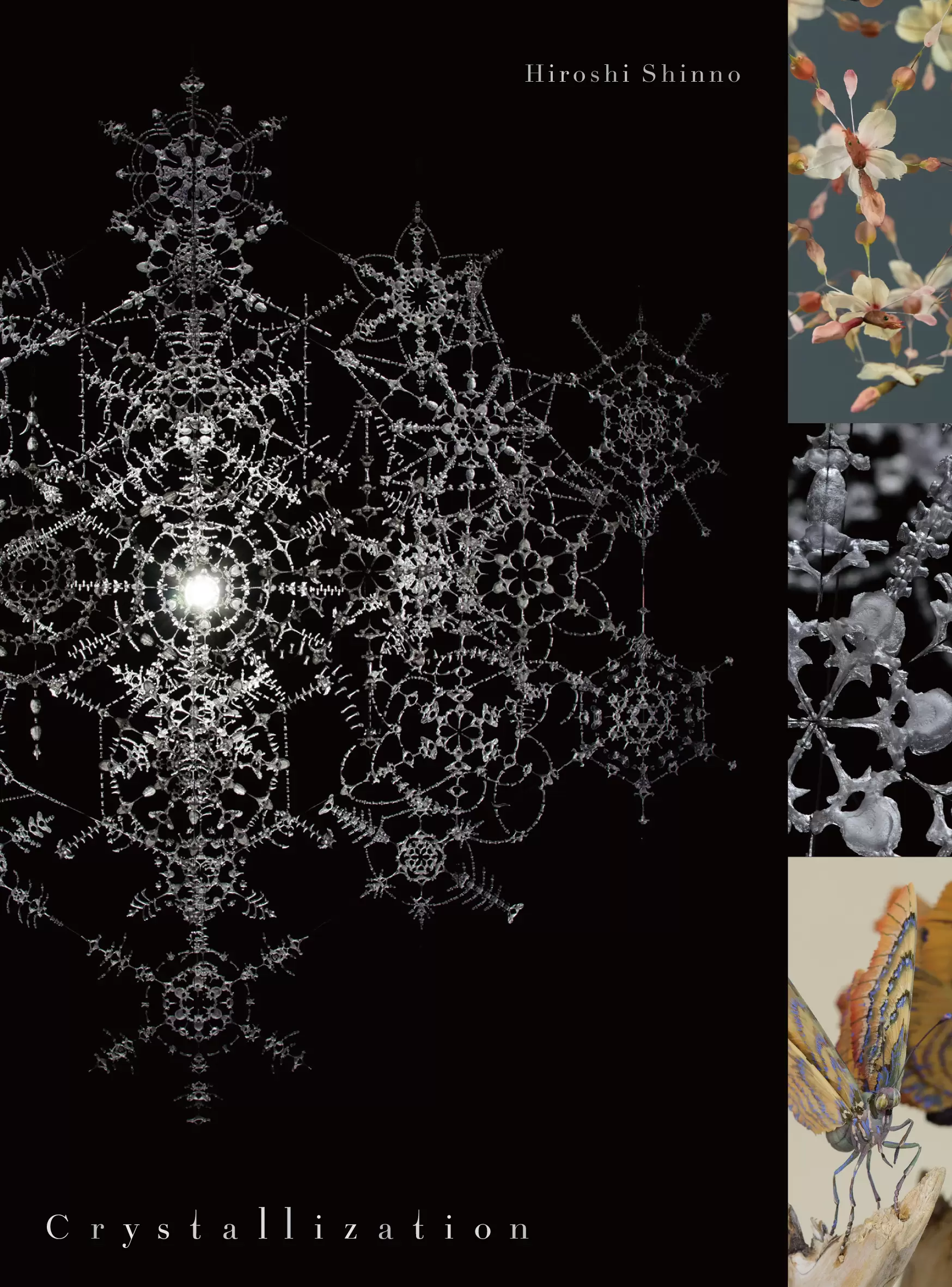 しすがの芸術 新野洋個展 Crystallization | ArtSticker