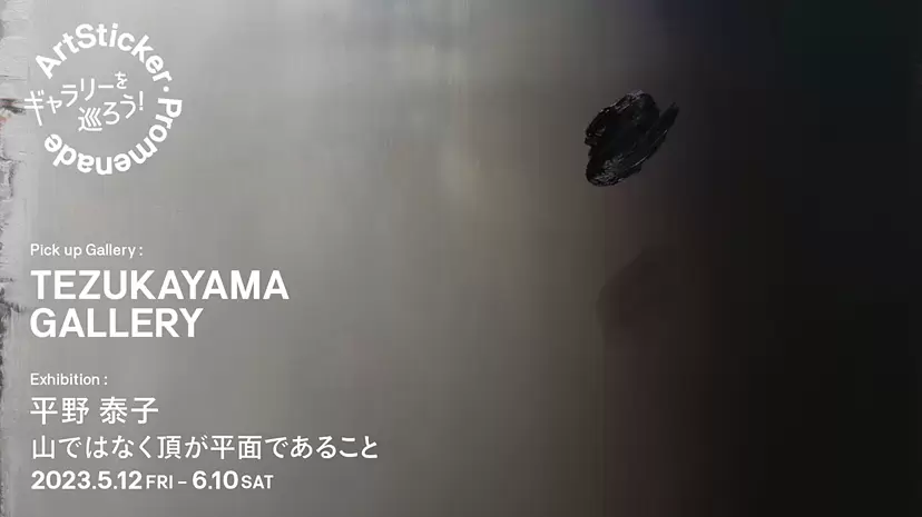 TEZUKAYAMA GALLERY / 平野泰子「山ではなく頂が平面であること」 - ArtSticker Promenade