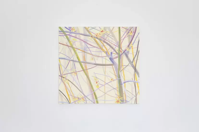 木村彩子 個展「此処や彼処」