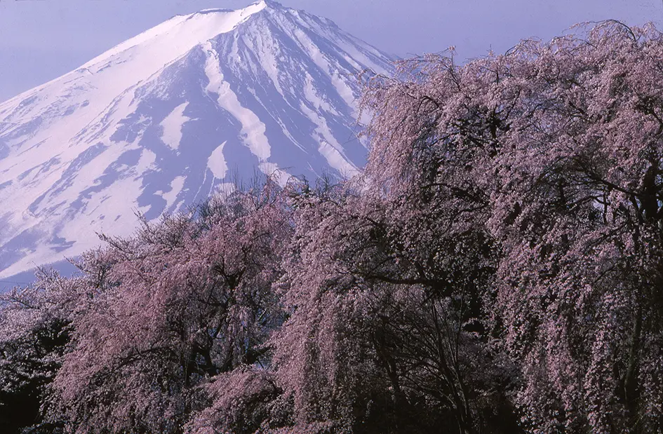 フジフイルム スクエアで「富士山づくし」の写真展を同時開催 | ArtSticker