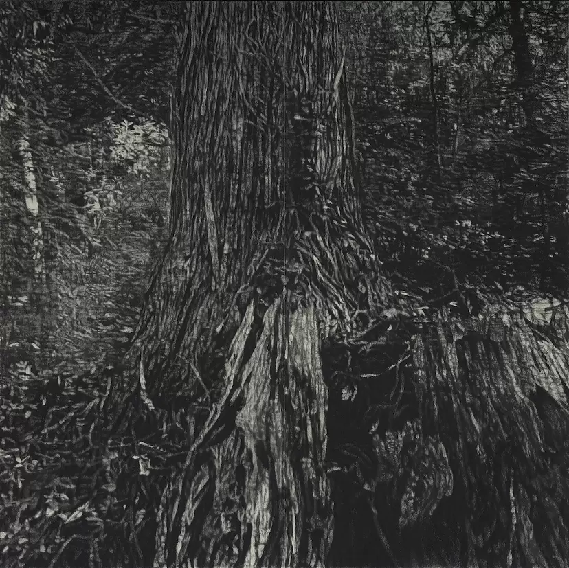 TAKESHI HONDA • TOMOKO OBANA