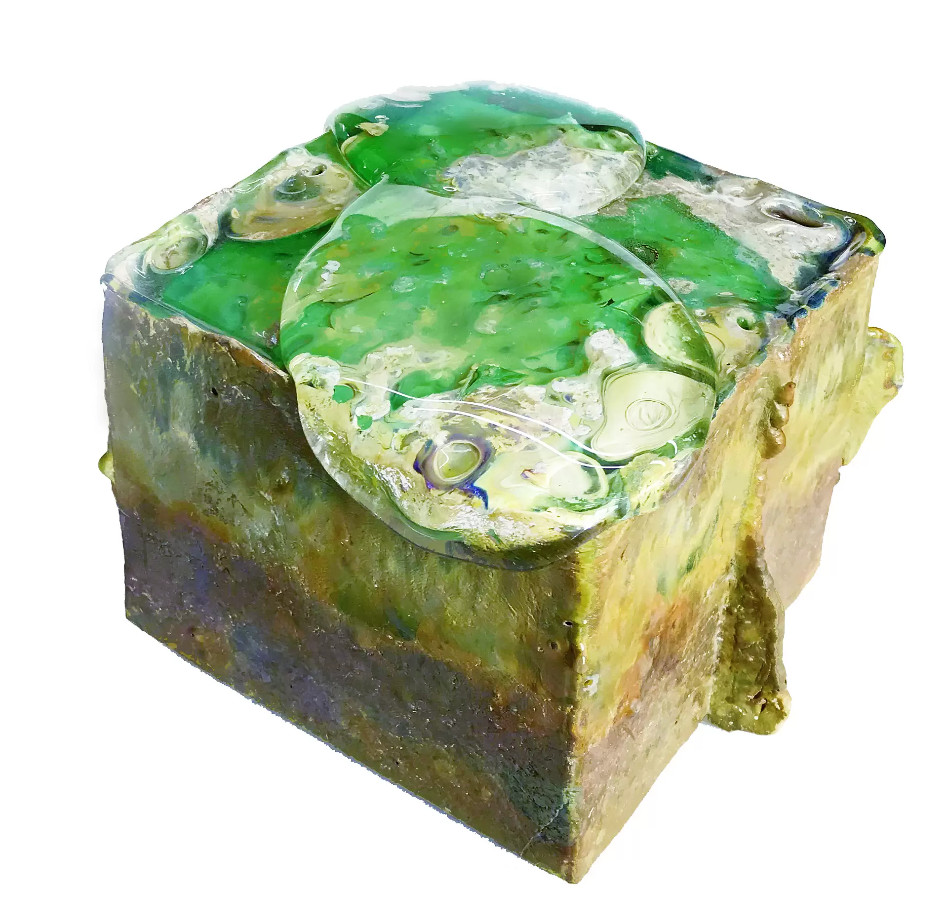 古川美術館&アート倶楽部カルチェ・ラタン コラボレーション企画「猫