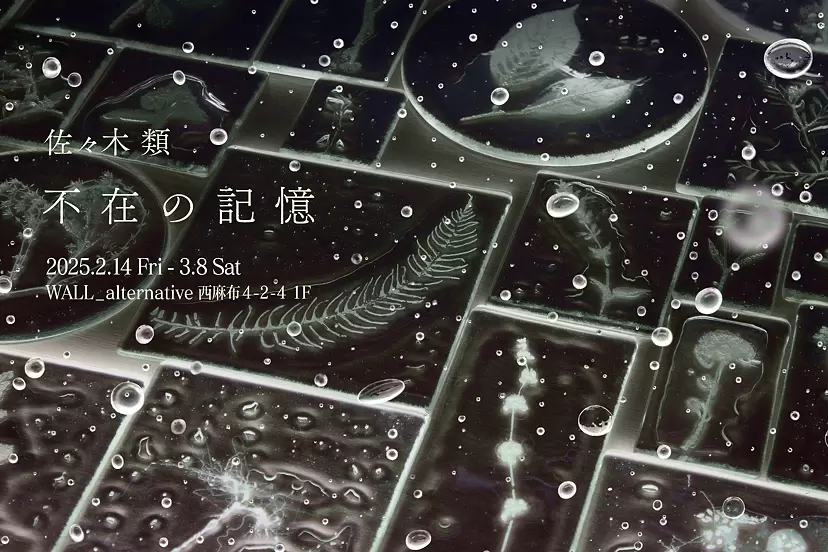 佐々木類個展「不在の記憶」