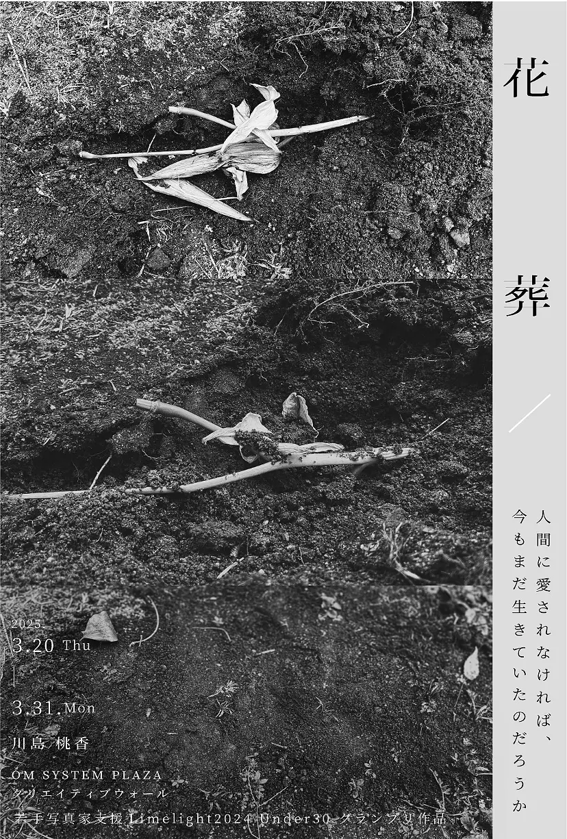 川島桃香個展　「花葬/人間に愛されなければ、今もまだ生きていただろうか」