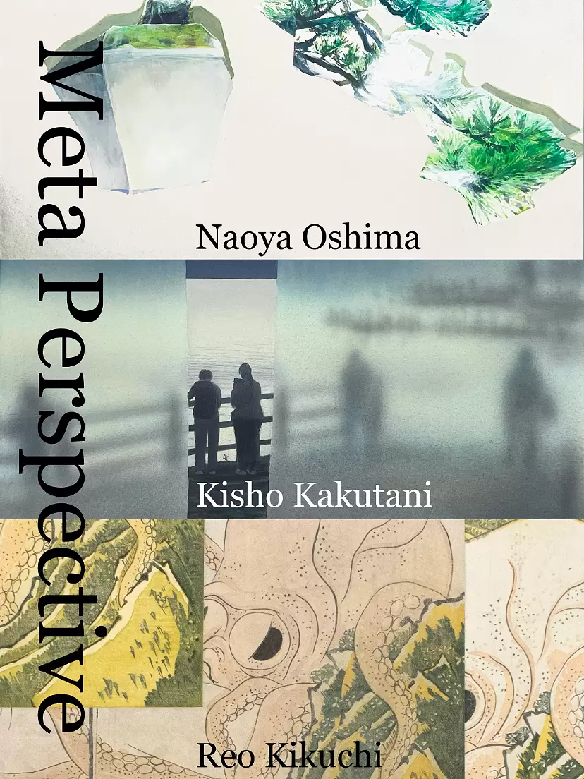 Meta Perspective Naoya Oshima Kisho Kakutani Reo Kikuchi