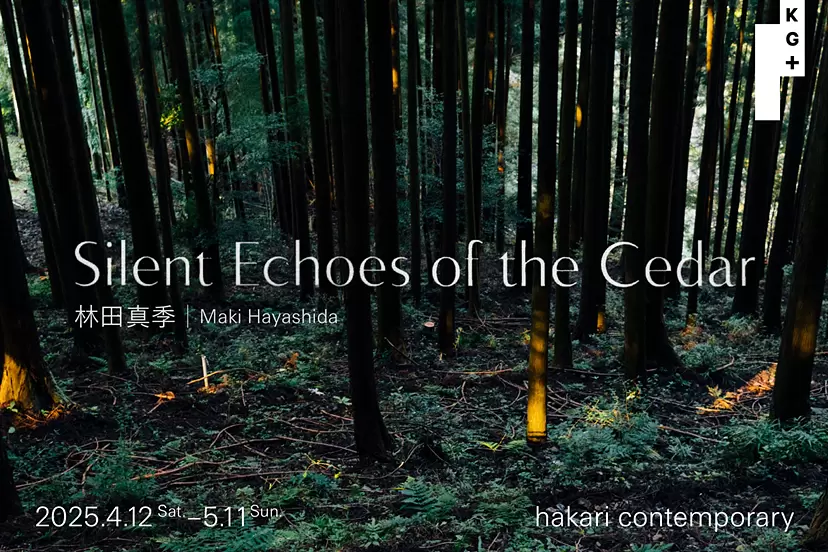 Maki Hayashida | Silent Echoes of the Cedar