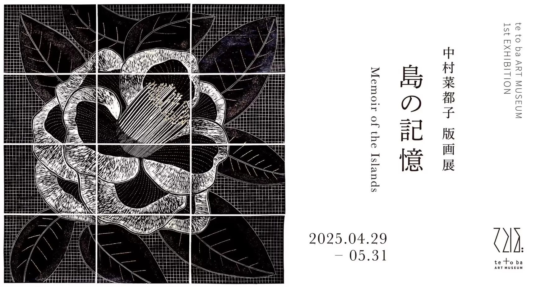 中村菜都子 個展「島の記憶 Memoir of the Islands」 | ArtSticker