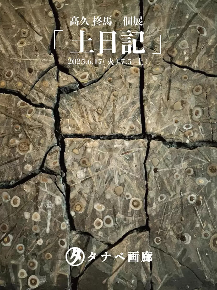 Shuma Takaku个展 “土壤日记”