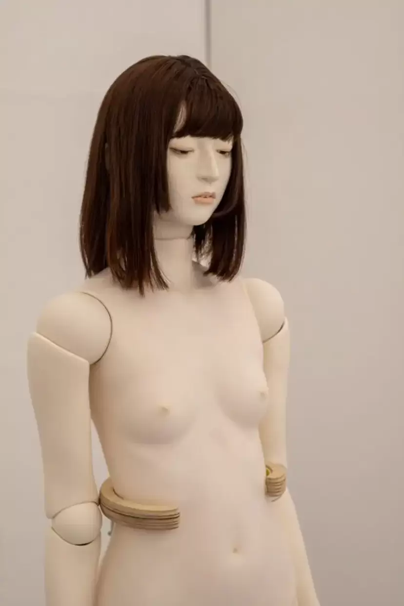 佐藤来梦个展“纯真静物”
