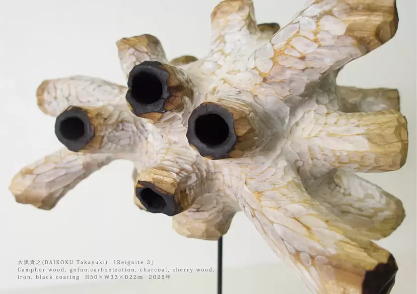 DAIKOKU Takayuki Solo Exhibition “The Genesis of Signs”