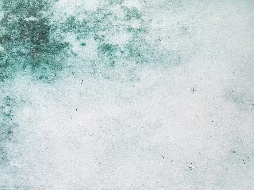 Akira Takahashi “Streak Plate”