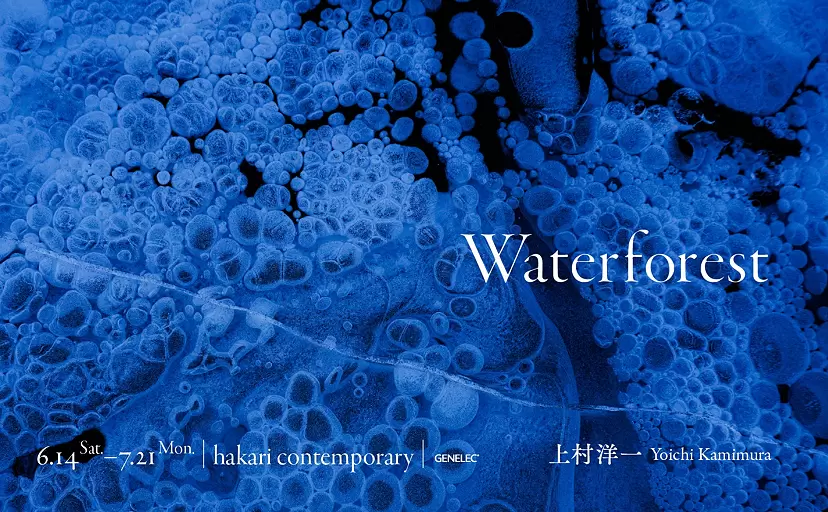 Yoichi Kamimura | Waterforest