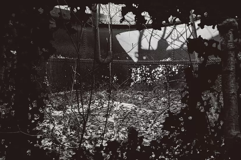 久保田智樹 個展「ASHIO 2008/2009」