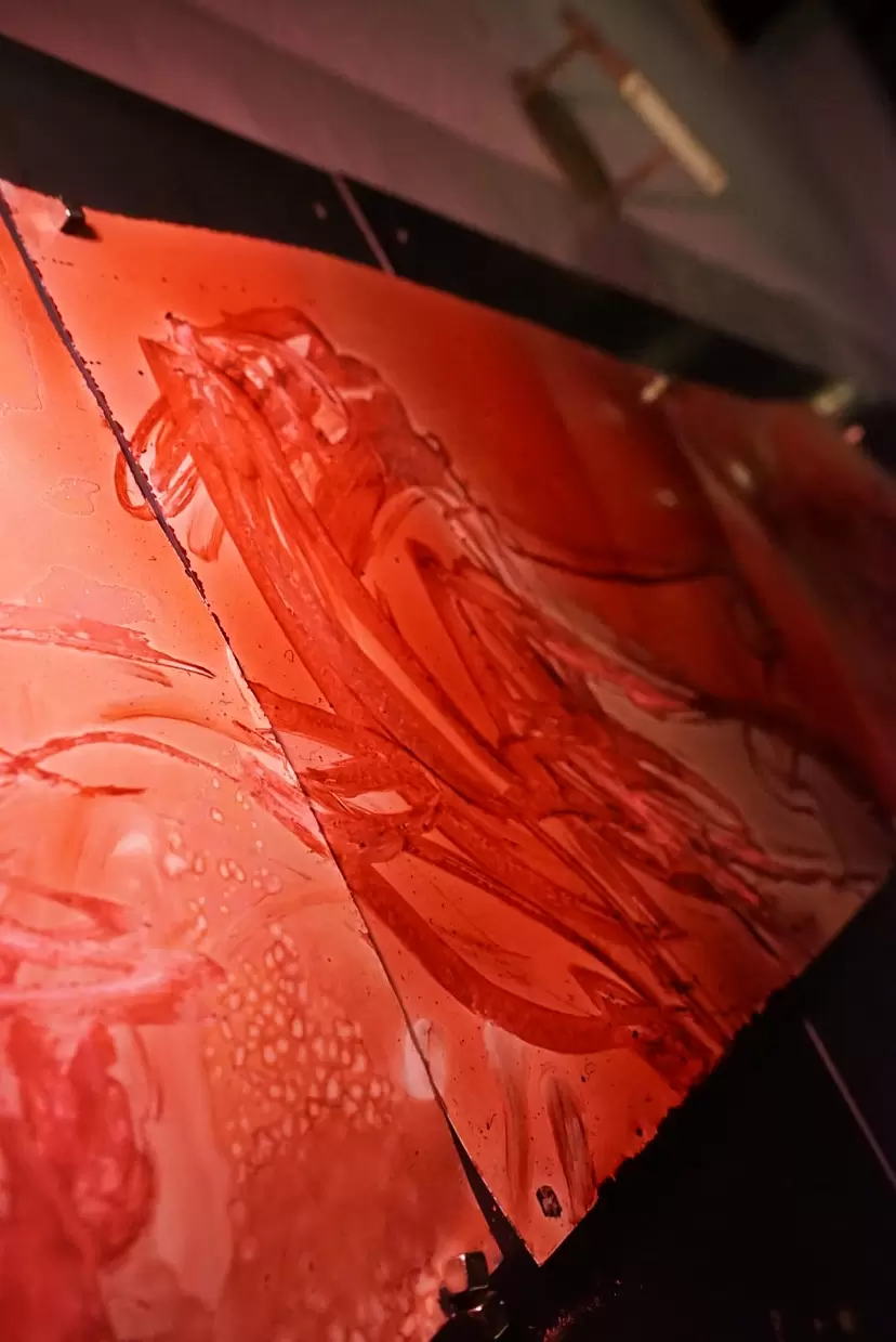 大石麻里卡个展 “紫雨”