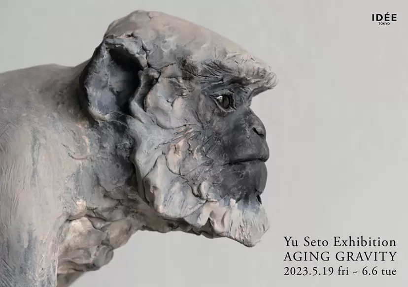 8252_l.webp?d2f64254d7251098