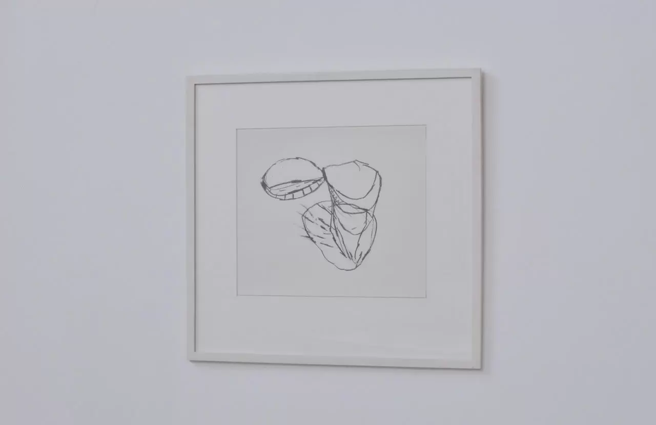 アブラハム渓谷　('93ポルトガル/仏/スイス) 美品 アブラハム渓谷('93ポルトガル/仏/スイス) パンフレット