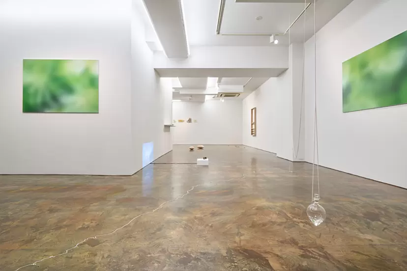 Asako Shiroki "Water Mirror"