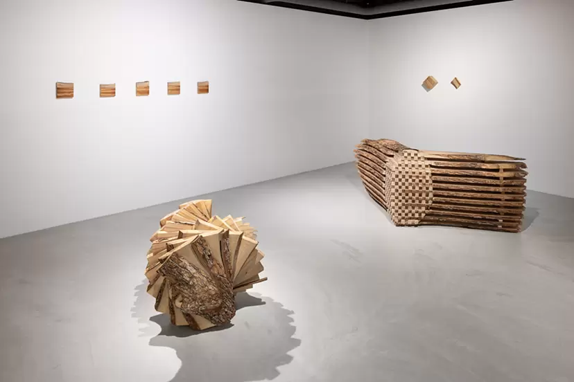 築山有城 個展「Exhibition 2025」