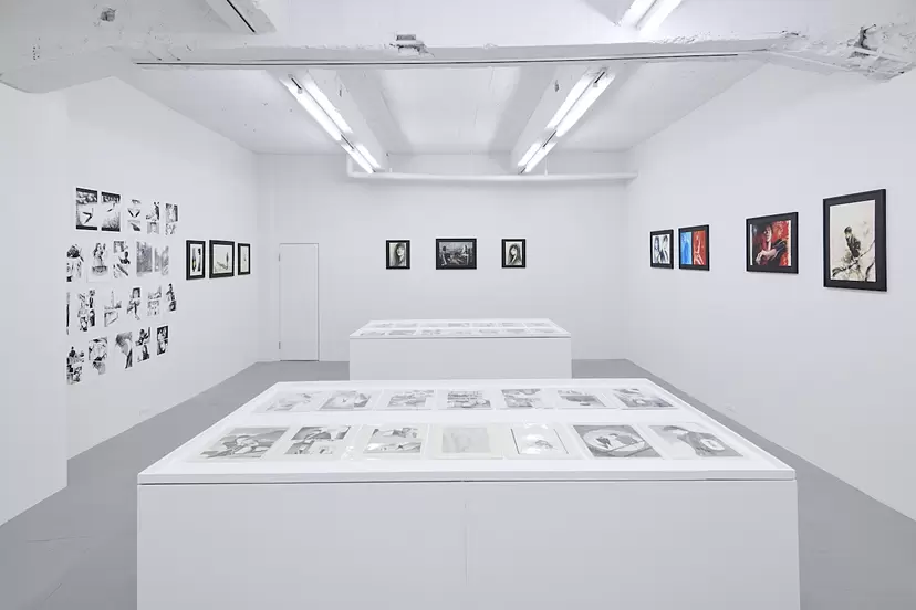 Jiraishin Exhibition ~Seeking the Point Where Manga and Painting Intersect~