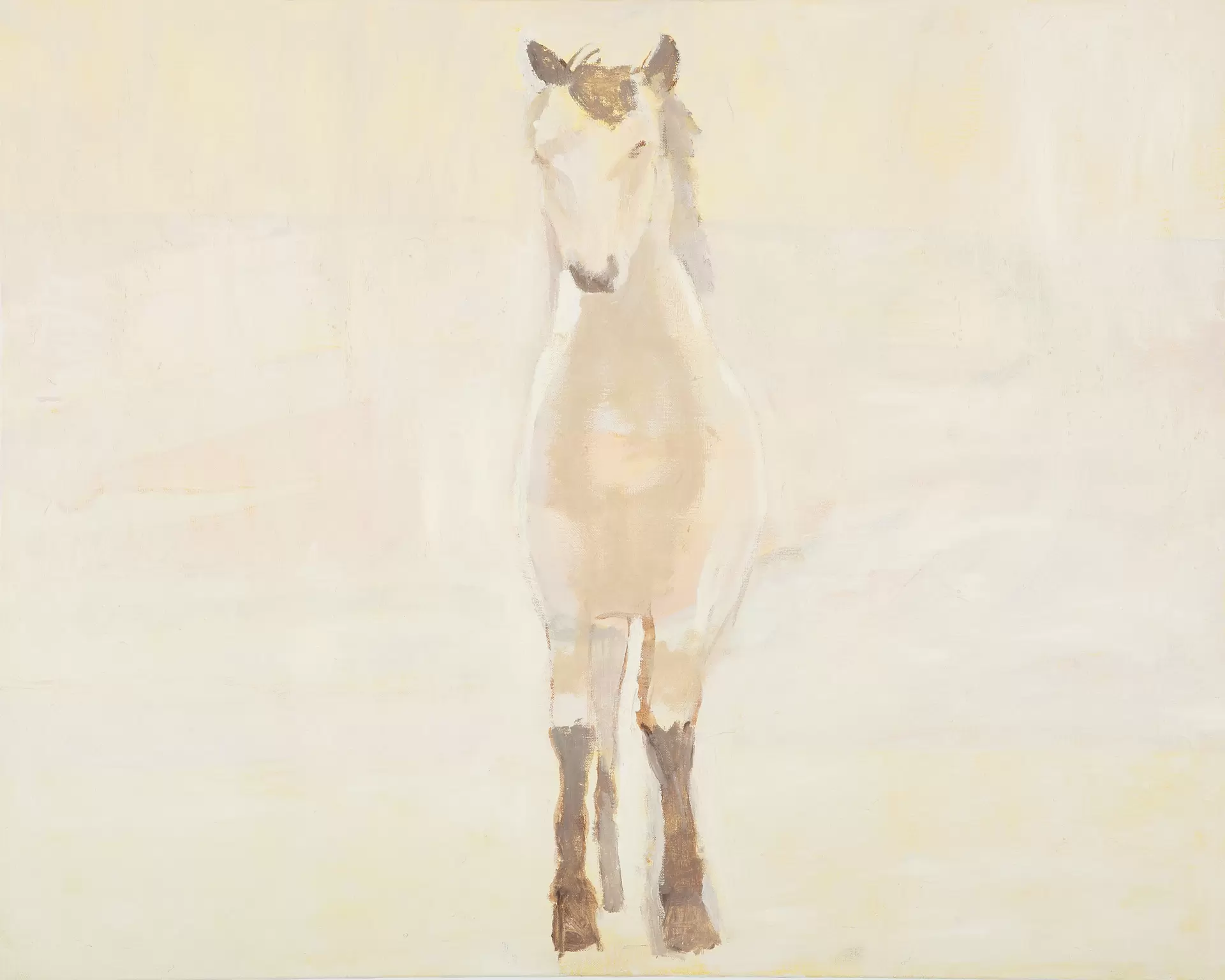 黒坂麻衣　作品 黒坂 麻衣「My little Creatures」 | ArtSticker