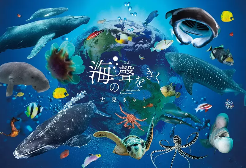 No4725額装　切り絵　海中風景　海亀　貼り絵　紙藝　古美術　アート　送料無料 No4725額装 切り絵 海中風景 海亀 貼り絵 紙藝 古美術 アート 送料無料