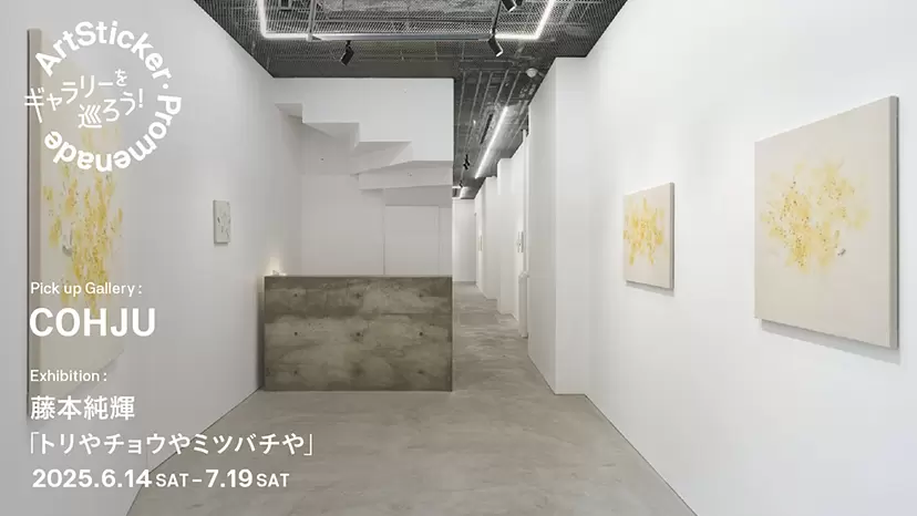 COHJU｜藤本純輝 個展「トリやチョウやミツバチや」 - ArtSticker Promenade
