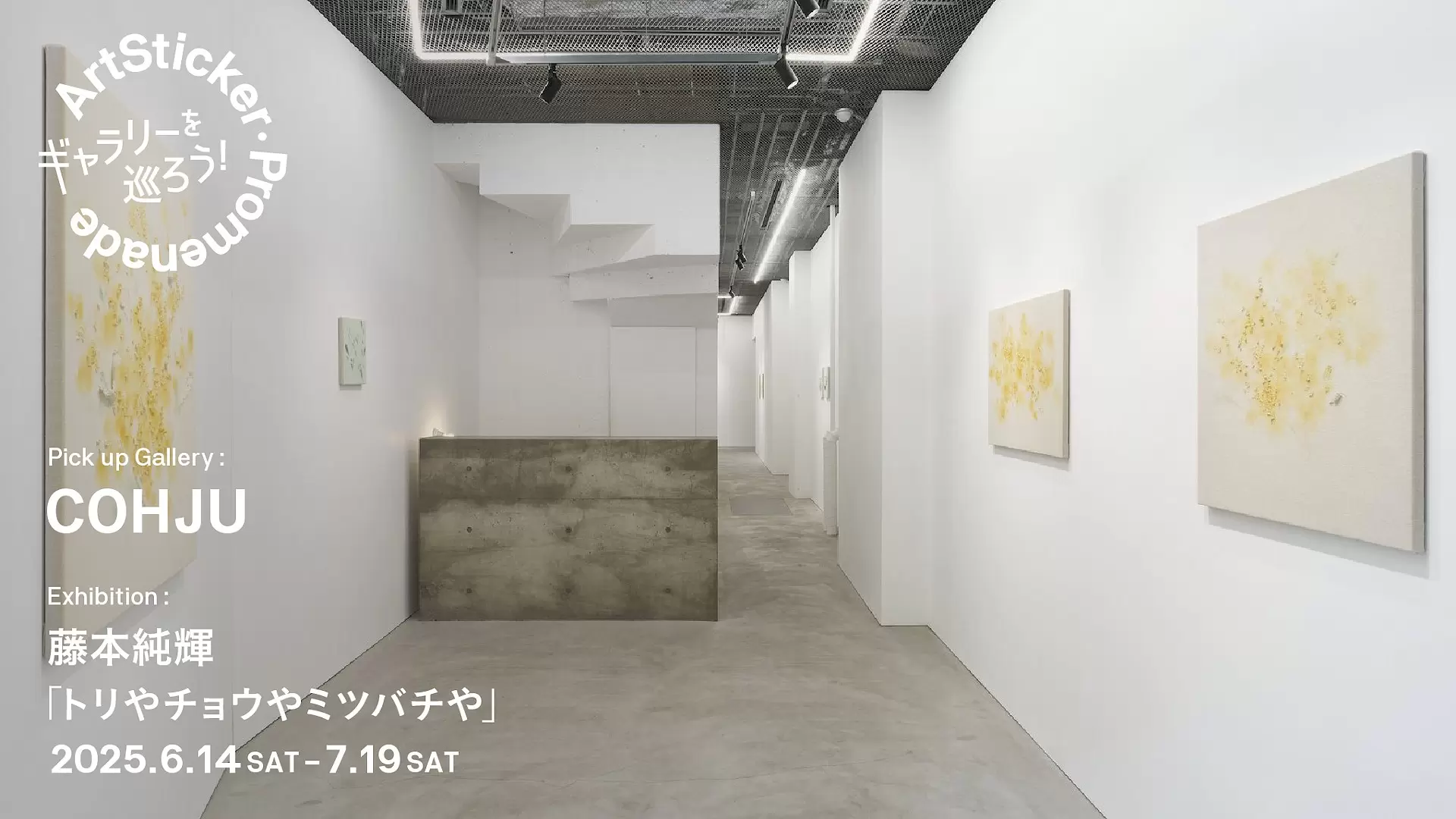 COHJU｜藤本純輝 個展「トリやチョウやミツバチや」 - ArtSticker 